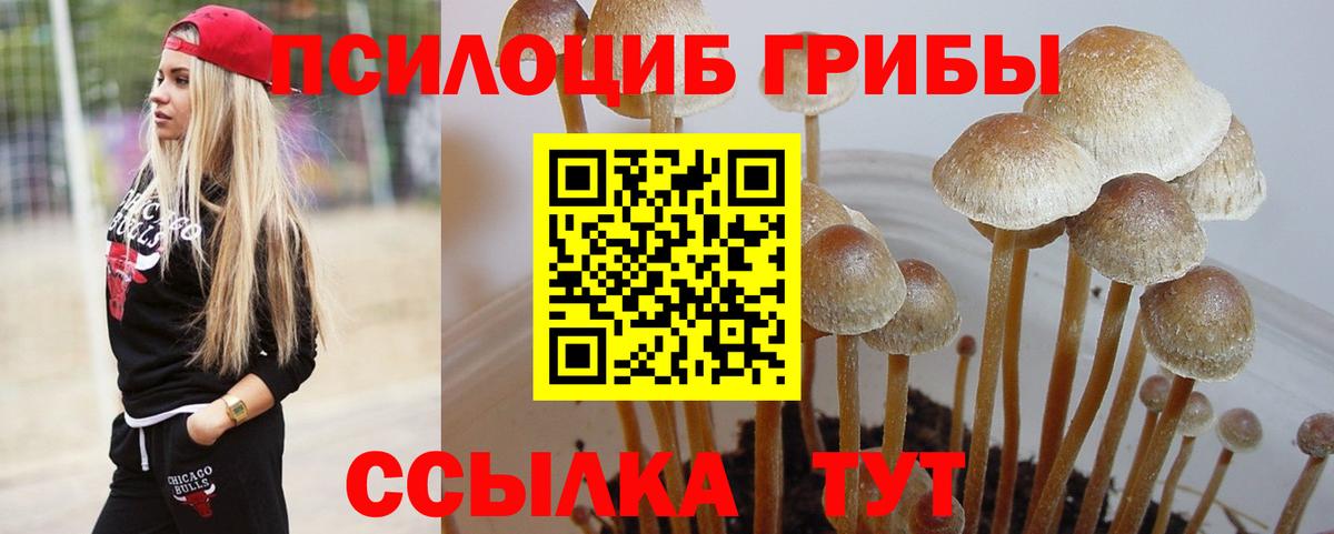 Всеволожск  Галлюциногенные грибы ЛСД  Вход с VPN  Галлюциногенные грибы Psilocybine cubensis 